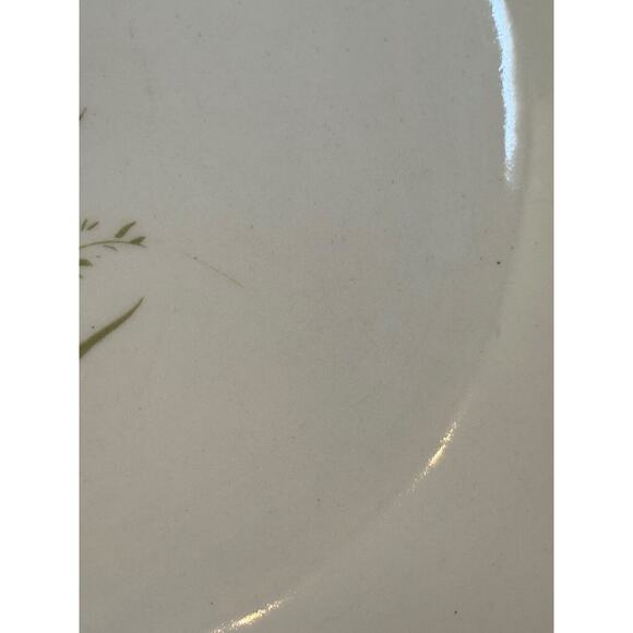 Tiger Lily Floral Salad Plates (2) ~ 7.5 Inches VTG Sabin China (Unmarked) READ - Picture 6 of 10